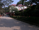 Thumb Image